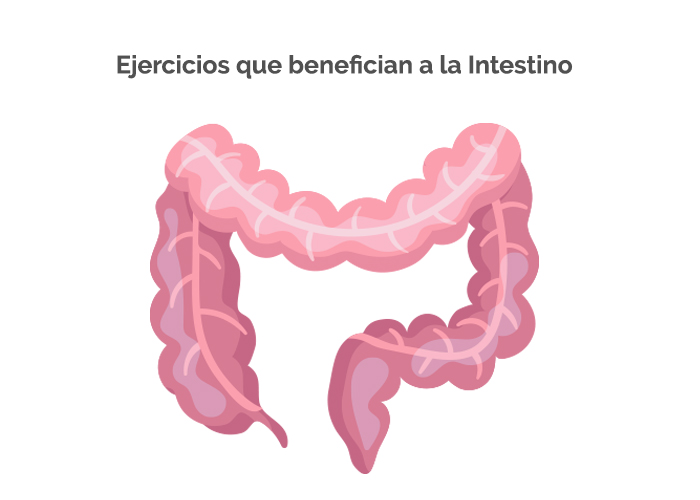 intestino