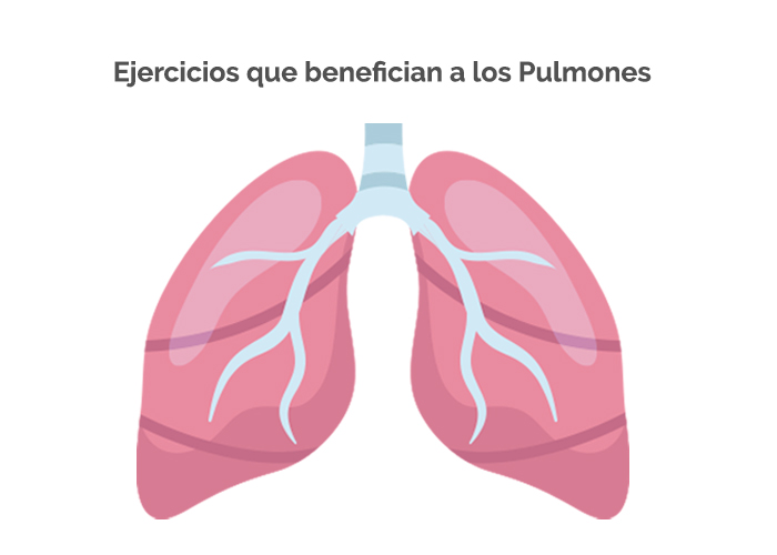 pulmones