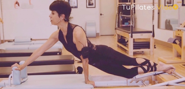 Tutorial de Snake y Twist