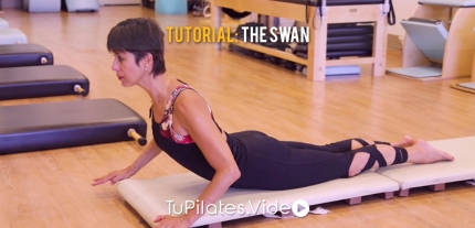 Tutorial: The Swan